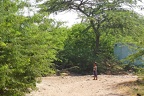 DSC05706